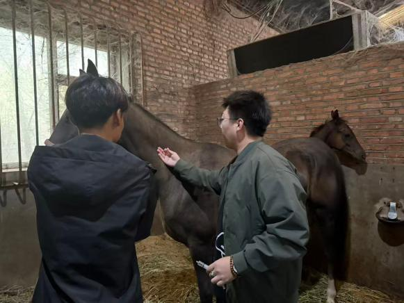永利博彩