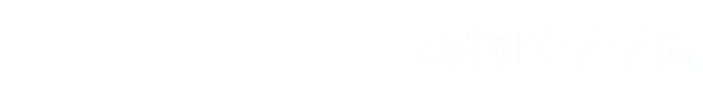 永利博彩